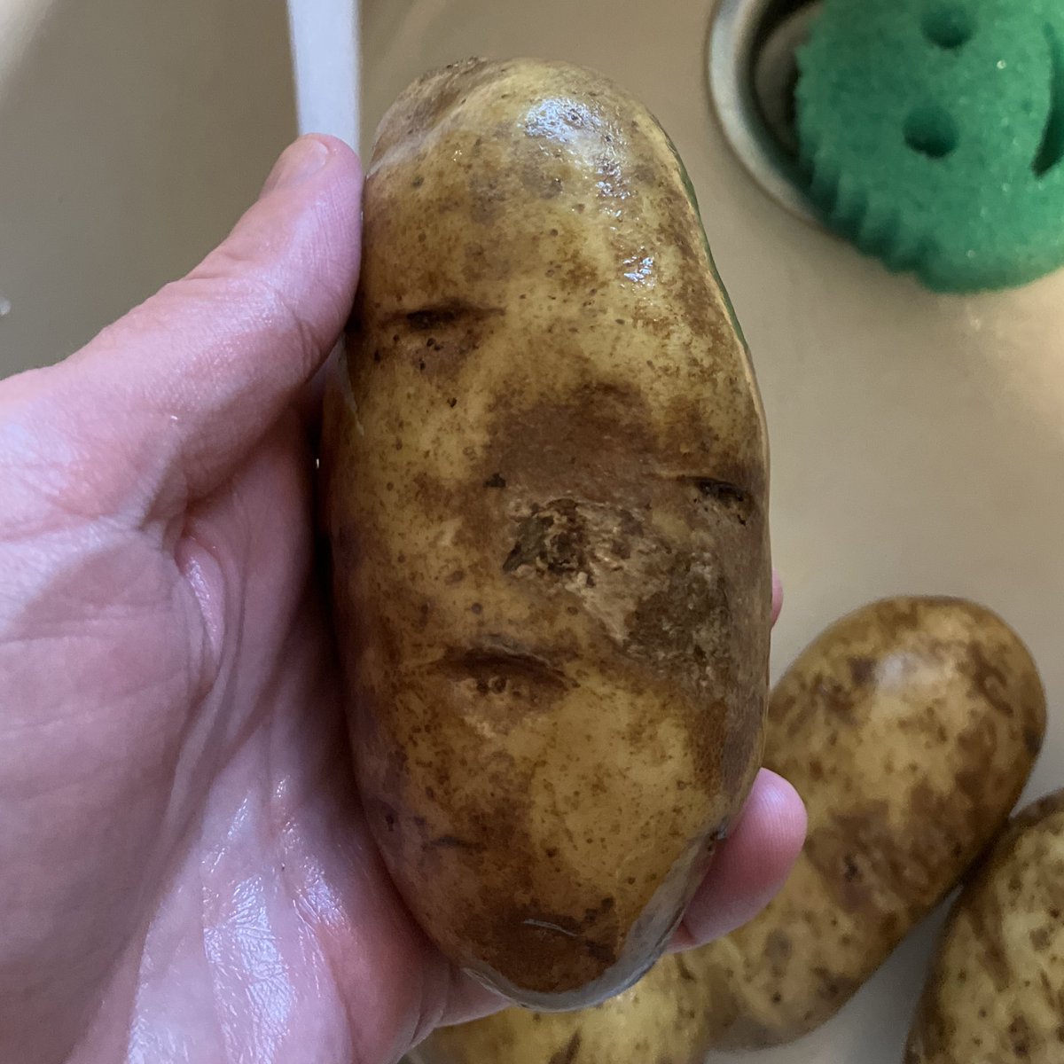 potato #facesinthings