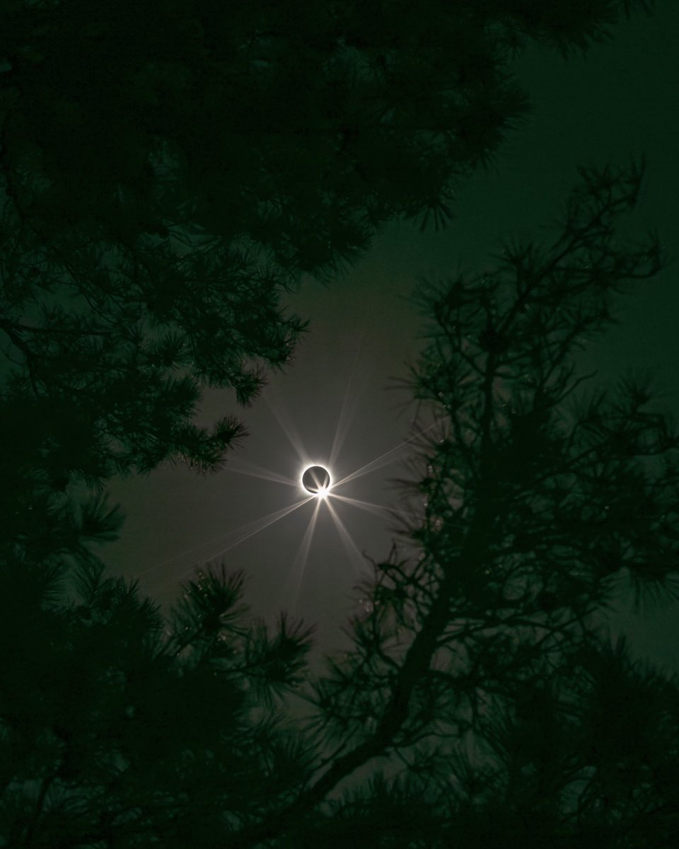 Today’s total solar eclipse, from Petit Jean State Park, Arkansas. 
#TotalEclipse #Eclipse2024 #eclipse #hasselblad #TotalEclipse2024