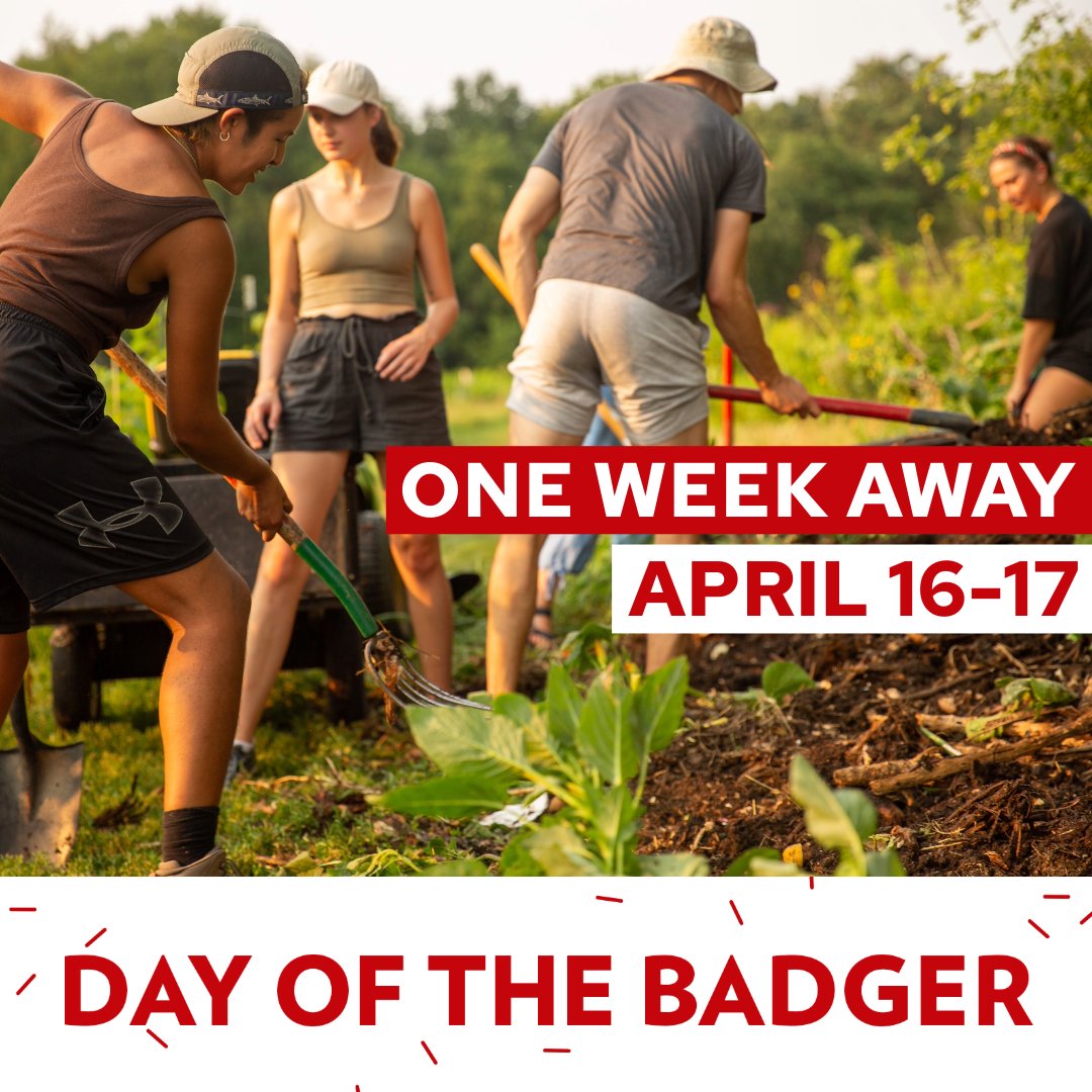 #DayoftheBadger is one week away! Our students are doing amazing things, like searching for antibiotic producing bacteria in soil, and gifts to the CALS fund will directly support them and their exciting research. Learn more at dayofthebadger.org/campaign/cals/ @WisAlumni