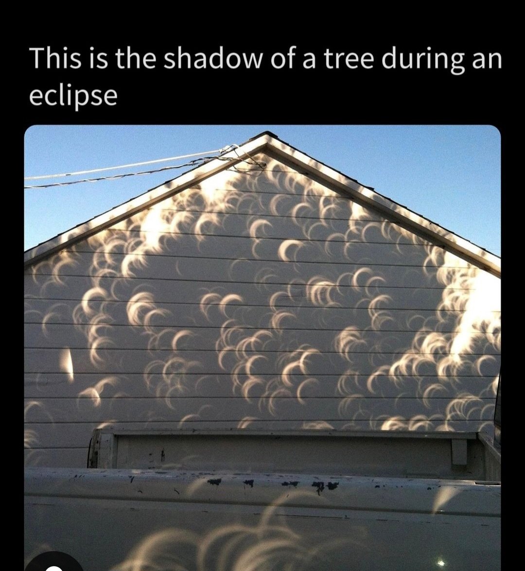 This is the shadow of a tree during an eclipse. The gaps between the leaves on trees act as multiple pinhole cameras and each gap projects its own crescent shaped image. Via @maythesciencebewithyou on IG