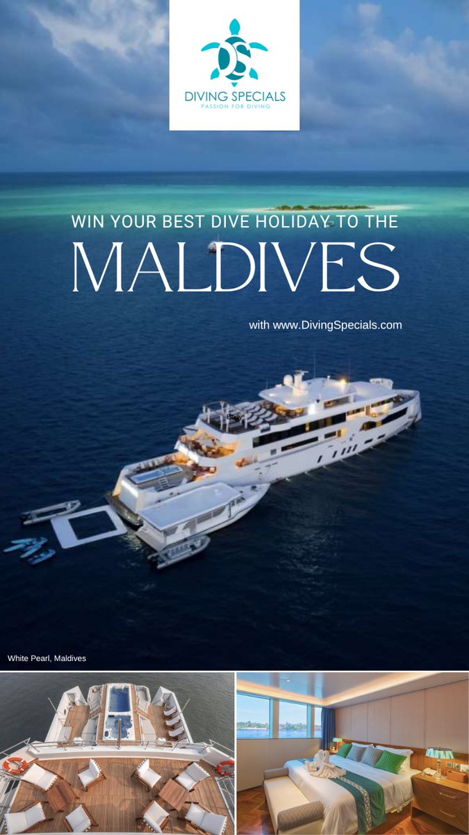 ❤️ MISS DIVING SPECIALS CONTEST Pearl Fleet LADIES! Win the trip of a lifetime to the Maldives on board luxury yacht 'White Pearl' for 2 guests &amp; join our Miss Diving Specials Contest by uploading an underwater image here
pr.easypromosapp.com/p/975792
#contestgiveaway #Diving #ladies