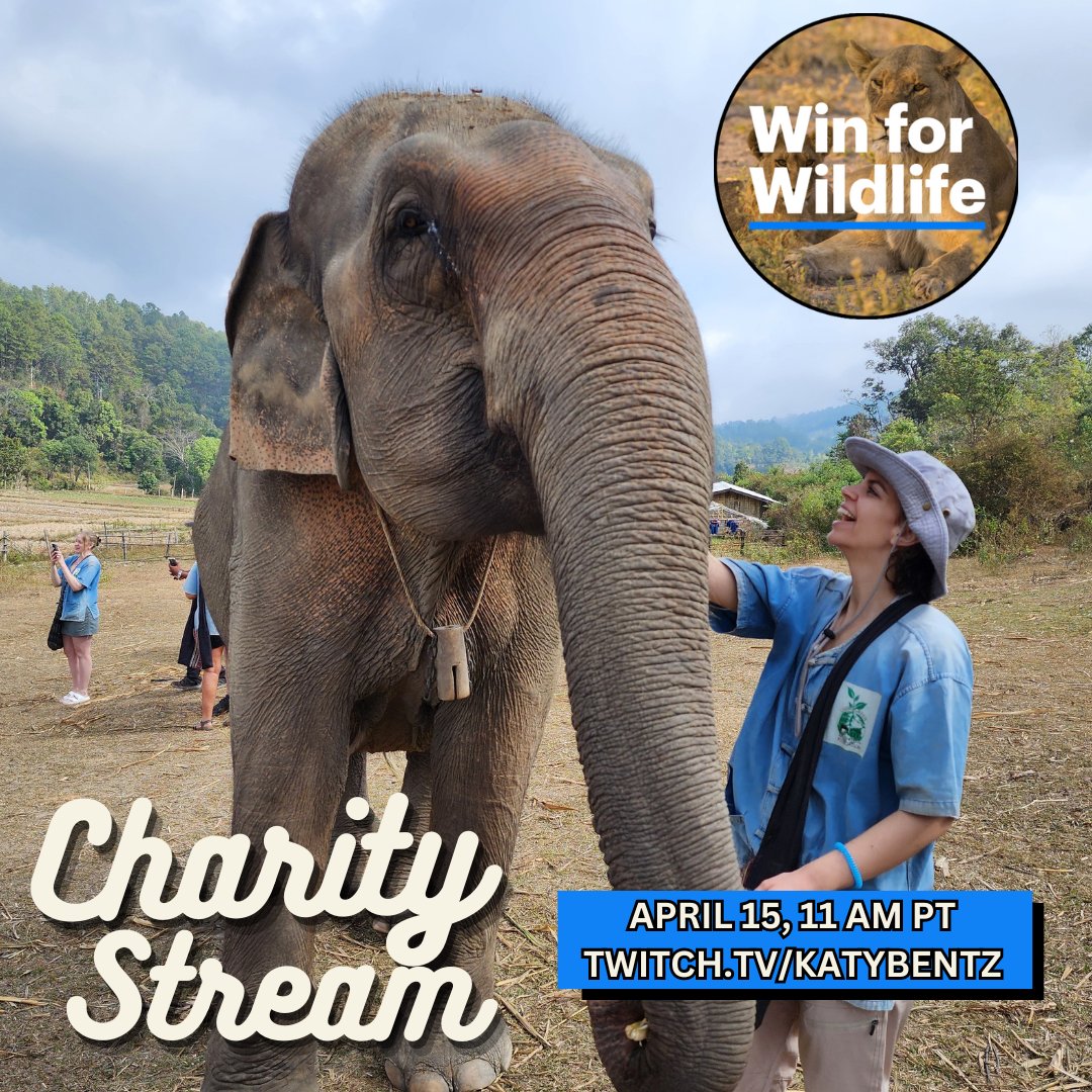 Mark your calendars! 📅 Join us April 15 on Twitch as we rally support for @ifawglobal's #WinForWildlife Campaign! 🌍 Urgent funds are needed for disaster relief. Tune in, play games, donate, and let's change the world together! ❤️ Twitch.tv/katybentz - See you there!