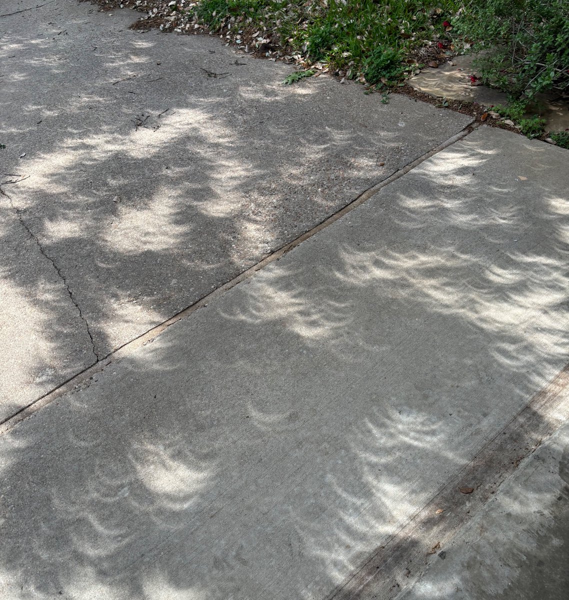 Did you catch the #eclipse today, notice crescent-shaped shadows coming through the trees, and are wondering what causes those unique shadows?

The answer is nature’s very own pinhole camera! Light from the Sun during the eclipse passes through small gaps between tree leaves,…
