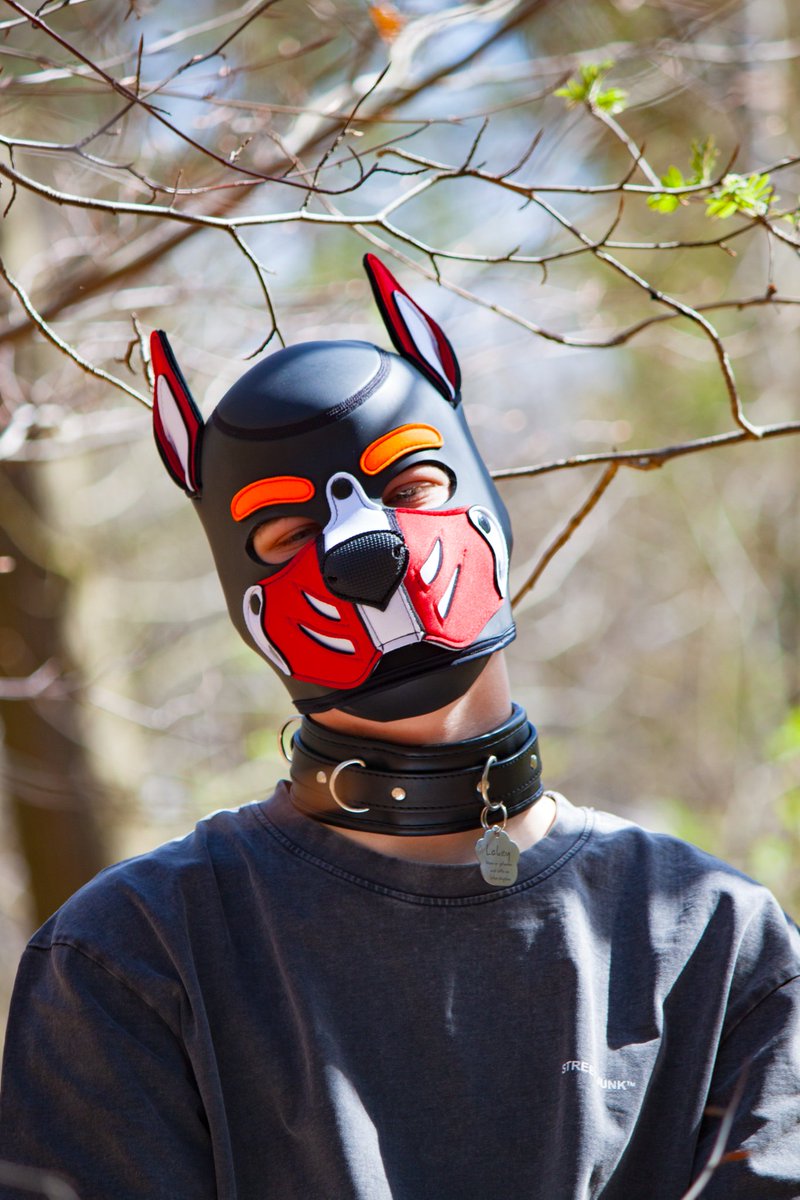 rednaughtypuppy's tweet image. Felt cute... Am I? 👉👈
📸 by @Eras247 ❤️
Edit by me 🫶
.
.
.
.
.
.
#petplay #petplayer #puppy #puppyplay #puppyplaygay