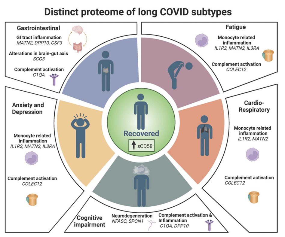 nature.com/articles/s4159… #LongCovid subtypes #fatigue #inflammtion #monocytes #COVID