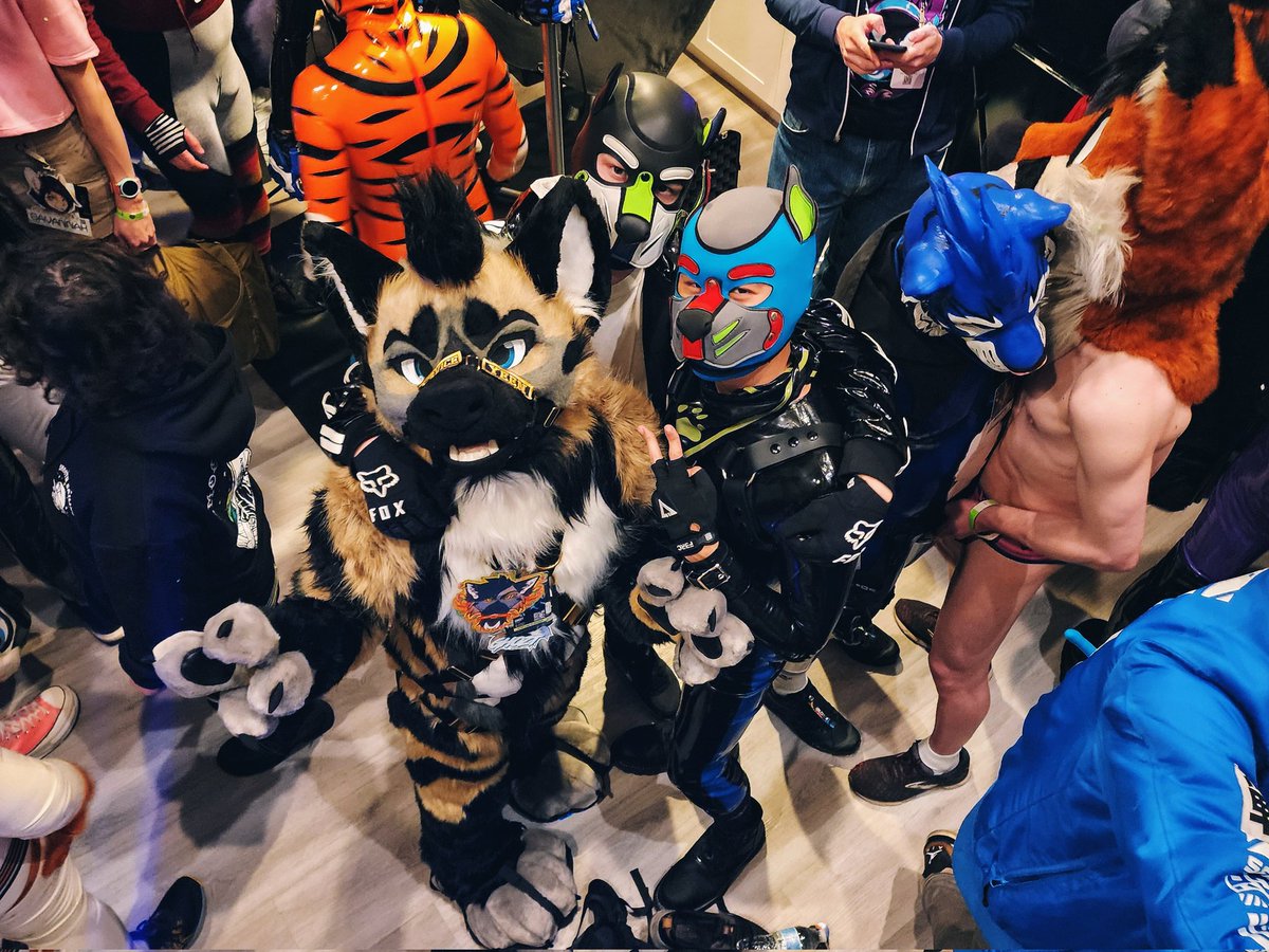 More #LVFC photos! Such a blessing being able to spend time with old friends and make new ones; always looking forward to our next encounter 🤗 📸: @pup_ISO Tags: @Pup_Leo, @rubberdeer, @MuzzledMeryx, @hunterdog, @rubberbeefcake, @TigerSammich, @slutdrake42069, & @ArdynWolf