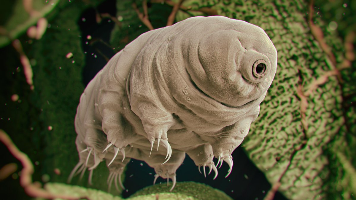 ⁠In “Astrobiology,” an online workshop at summer Sally Ride Science Academy, teens will learn about extremophiles like the microscopic tardigrade, then consider the potential for life on other planets. ⁠Use discount code UCSD4SRS4 by May 31 for $10 off: go.ucsd.edu/3JxWHdt