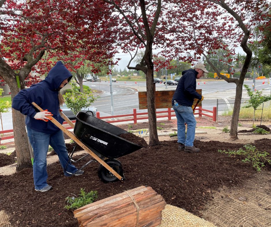 🌳 We have a few more spots available for our Keep America Beautiful Day event! Join us Saturday, April 13, at the Campbell Community Center Sports Field for a day full of fun aimed at beautifying Campbell! Don't wait - sign up today at campbellca.gov/598/Keep-Ameri…