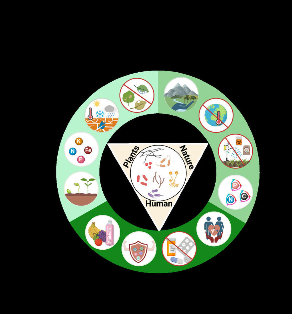 Tailoring beneficial microbe-plant interactions for “one health”, benefits sco.lt/4mrvHM