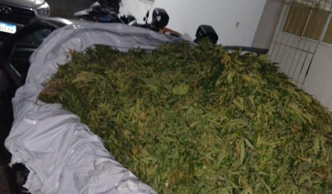 canabisbrasil's tweet photo. 🚨 VEJA: Em Ibimirim, no interior de Pernambuco, policiais militares conseguiram apreender 1 veículo Montana com 800kg de maconha sendo transportada na carroceria do veículo.

Ninguém foi preso. O caso ocorreu no último sábado (06/04). https://t.co/RkvdsqG2qS
