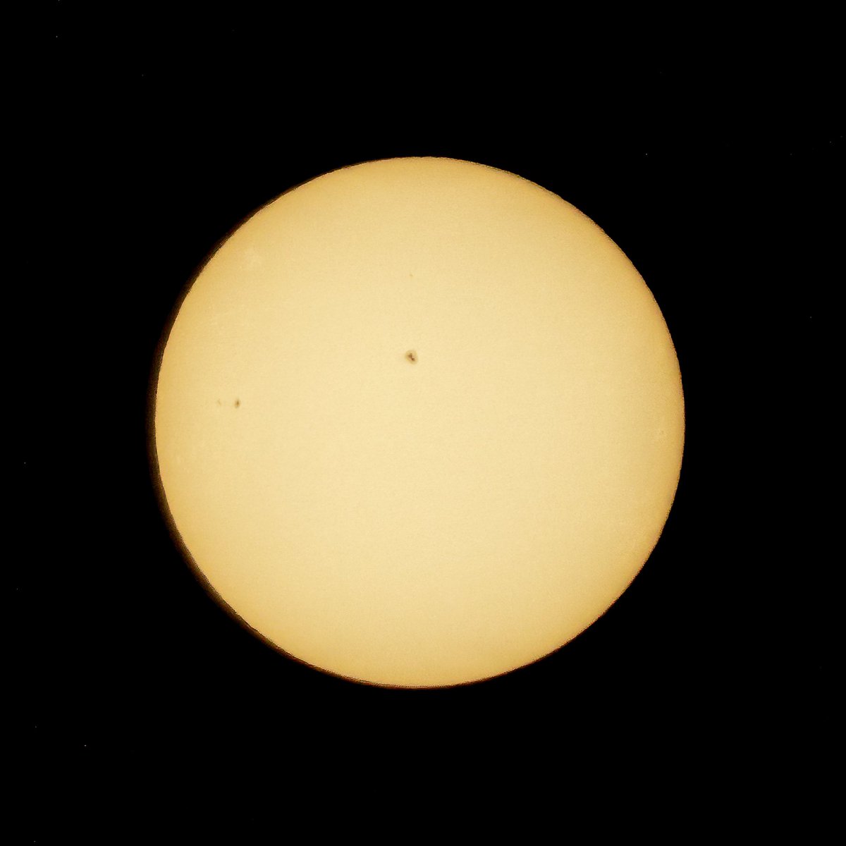 Today, the skies over Southern California were adorned with a display as a partial solar eclipse occurred. Though not a total eclipse, the celestial ballet of the moon passing in front of the sun still drew gazes skyward in wonder. I couldn't resist the opportunity to capture a…