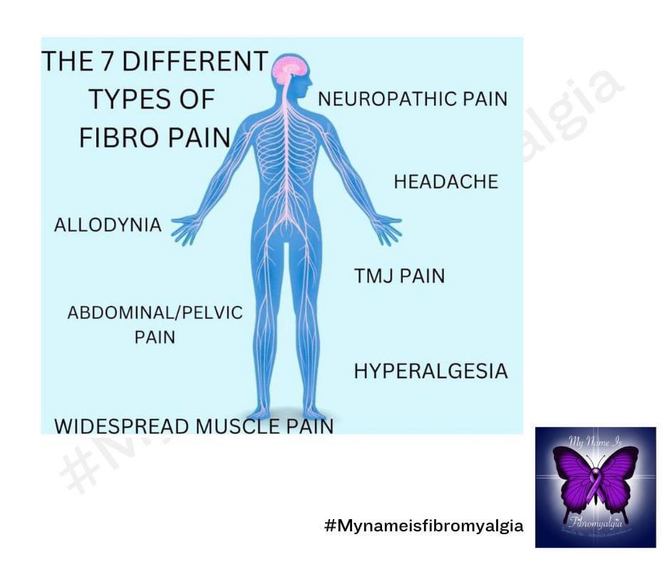 Did you all know there is 7 different types of fibro pain, widespread muscle pain is the most common one fibromyalgia warriors experience.

#mynameisfibromyalgia
#theultimateguidetofibromyalgia
#Spoonie 
#Fibromyalgiaisreal 
#fibrolife 
#invisibleillnesses 
#pain 
#chronicfatigue…