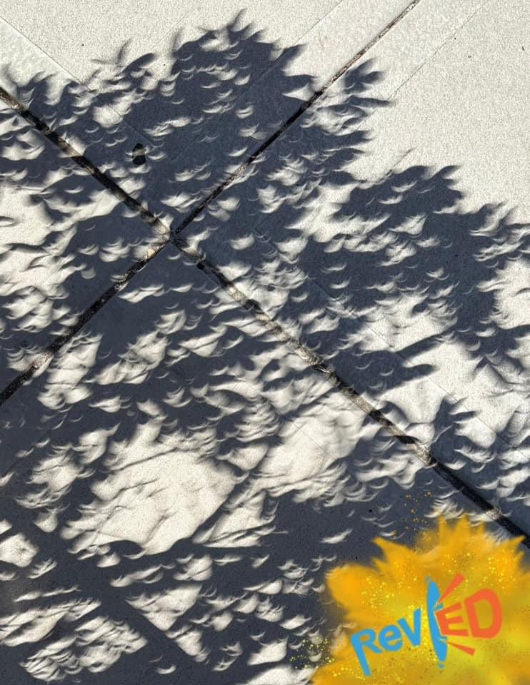 Durante un eclipse, la sombra proyectada de los árboles se ve en forma de medias lunas, a este efecto se le conoce como '#Pinhole' Cuando los rayos de luz atraviesan un pequeño agujero, este hace las funciones de una lente y proyecta la imágen de la fuente de luz. 🌑🌒🌓🌔
