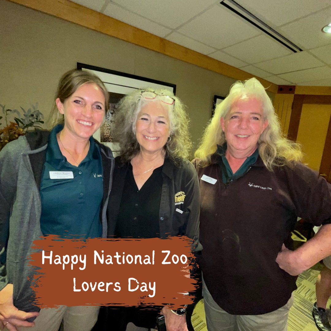 Happy #NationalZooLoversDay in the US! Zoos worldwide actively help protect species in the wild – including #cheetahs! CCF currently partners with dozens of #zoos around the world – and these institutions are a valuable source of support and collaboration!
