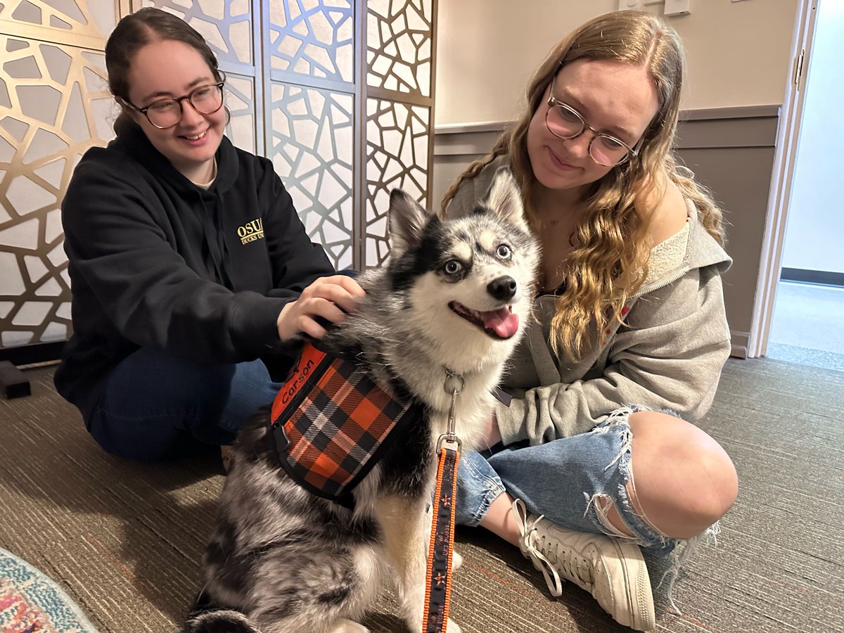 Of 1900 #okstate students surveyed:
99% feel welcomed at events
99% feel handlers have been friendly/welcoming
99% feel interactions with dogs can improve mental health
YOU can help make a difference by donating to this self funded program 
bit.ly/3IXT56d  
#pettherapy