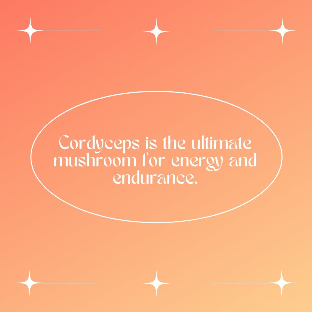 New to mushrooms? Here's a quick rundown! Send this to your fungi-curious friends!!