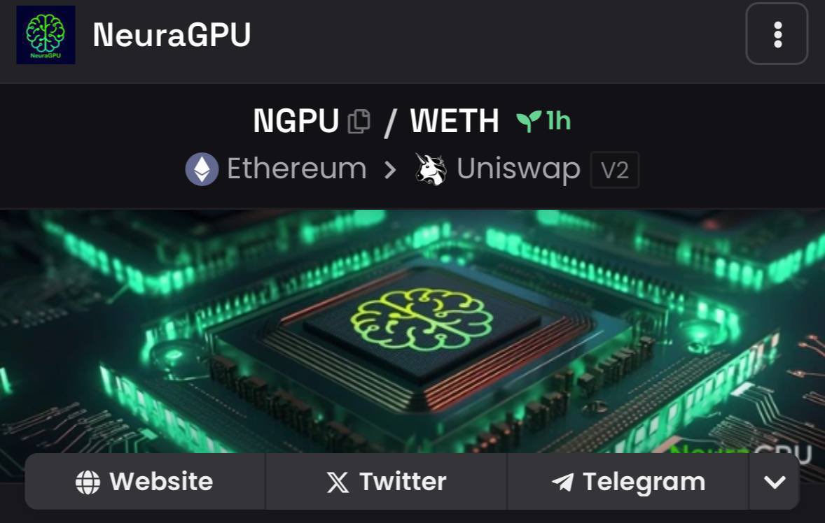 NeuraGPU tweet media