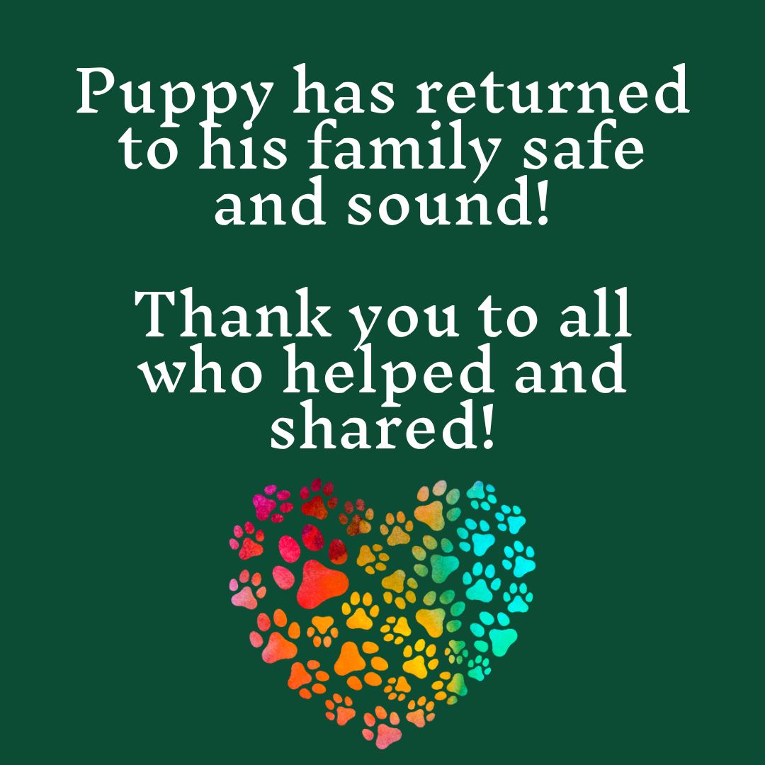 Our puppy friend from earlier has returned to his family safe and sound! Thank you to everyone who expressed concern and shared.