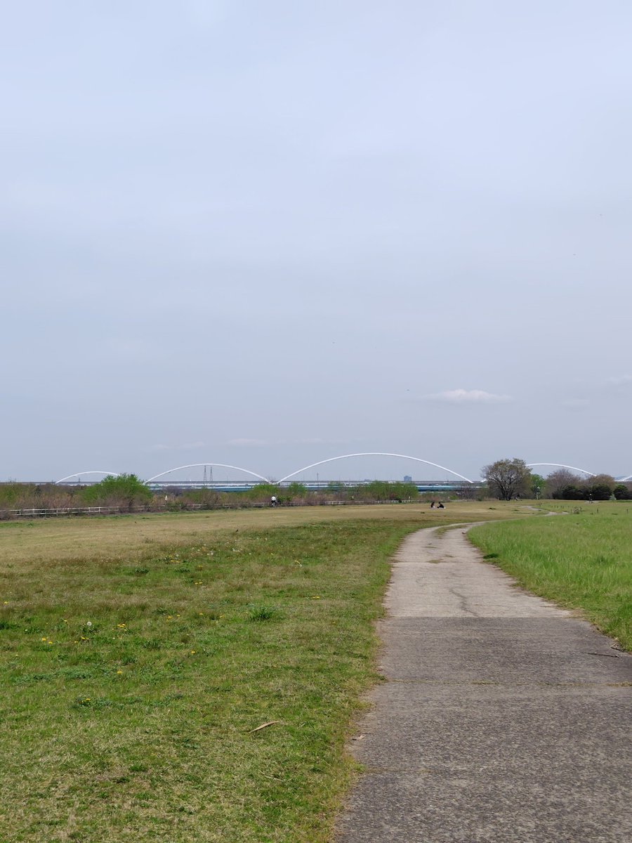 4/6 #ランプラ 846発目
35.37km

土曜の朝は #鶴見緑地parkrun
90名参加😄
海外からの Tourist Runner 多め
🇦🇺🇺🇸🇨🇦🇬🇧etc.
今回も、アフターパークラン
お花見でした🌸

からの28kmロング走へ
鶴見〜大阪城〜大川〜毛馬閘門〜淀川〜鳥飼〜門真〜鶴見緑地💦
あちこちお花見ラッシュ

#SIP765 #ランニング