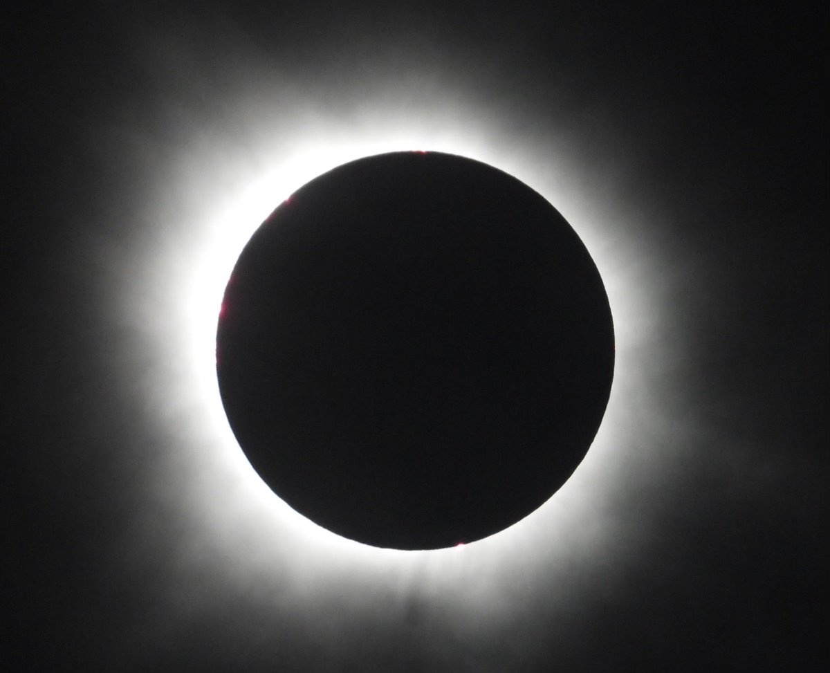 Matthew Halliday tweet media