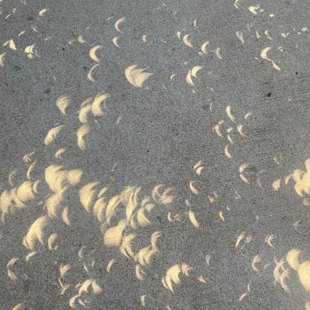 The Park staff enjoyed watching today's eclipse at the Park, a celestial spectacle to remember! 🌕🌖🌗🌘🌑 #ThatsMyTGP