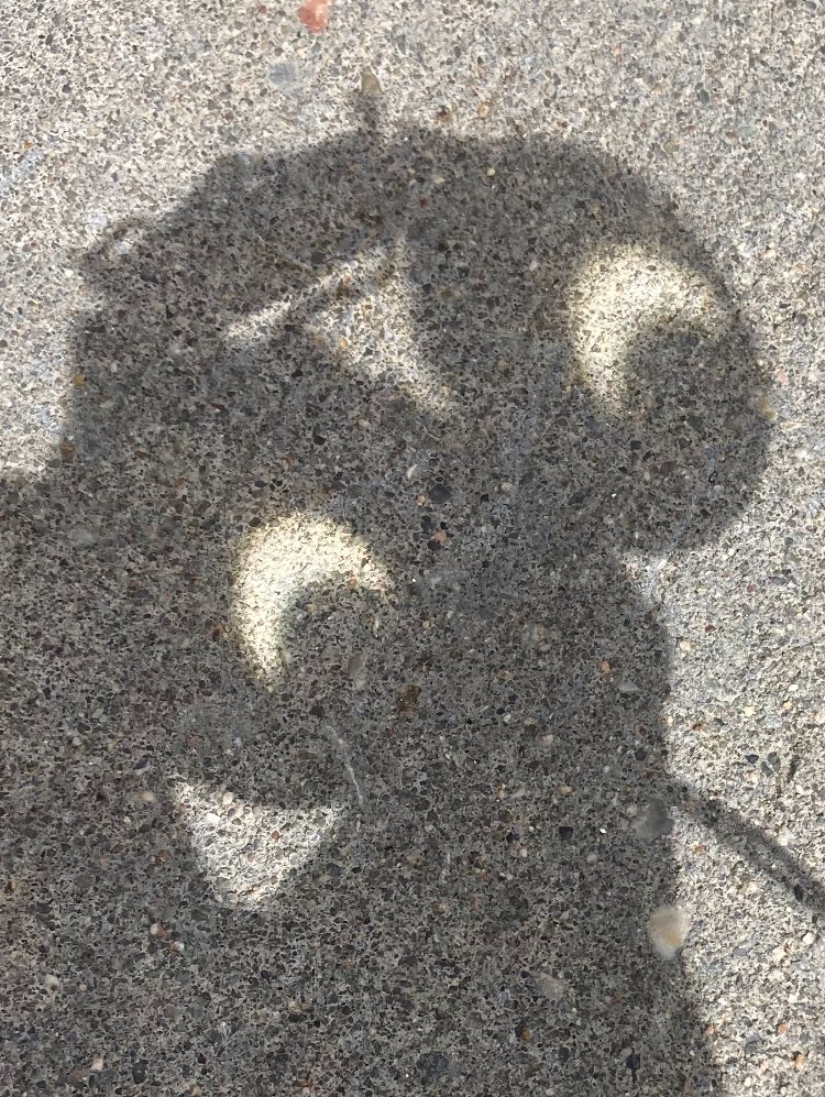 Eclipse expressions: skeptical &amp; annoyed, surprised. (Courtesy my binoculars.)