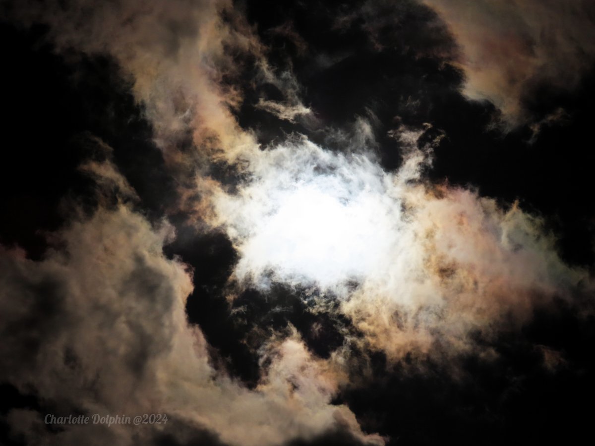 Smeary's tweet photo. "What Are You Searching For"
Just a few pictures I took during today's #eclipse.
#solareclipse2024 #solareclipse #sky #photography #photographer #art #print #arttherapy #sun #moon #earth #clouds #space #idigit https://t.co/dLQYjerpc3