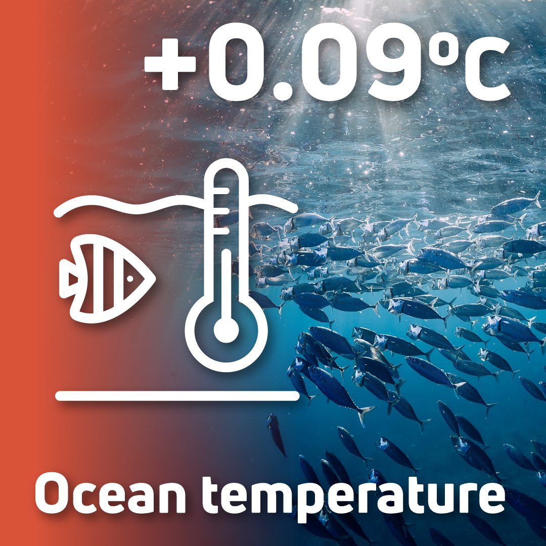 🌊#DYK ocean surface temperatures were above average everywhere around Australia, but below the record temperatures observed in 2022. The mean sea surface temperature was 0.09 °C above the 2000–2022 average. Read the #ausenv2023 report to find out more: ausenv.tern.org.au