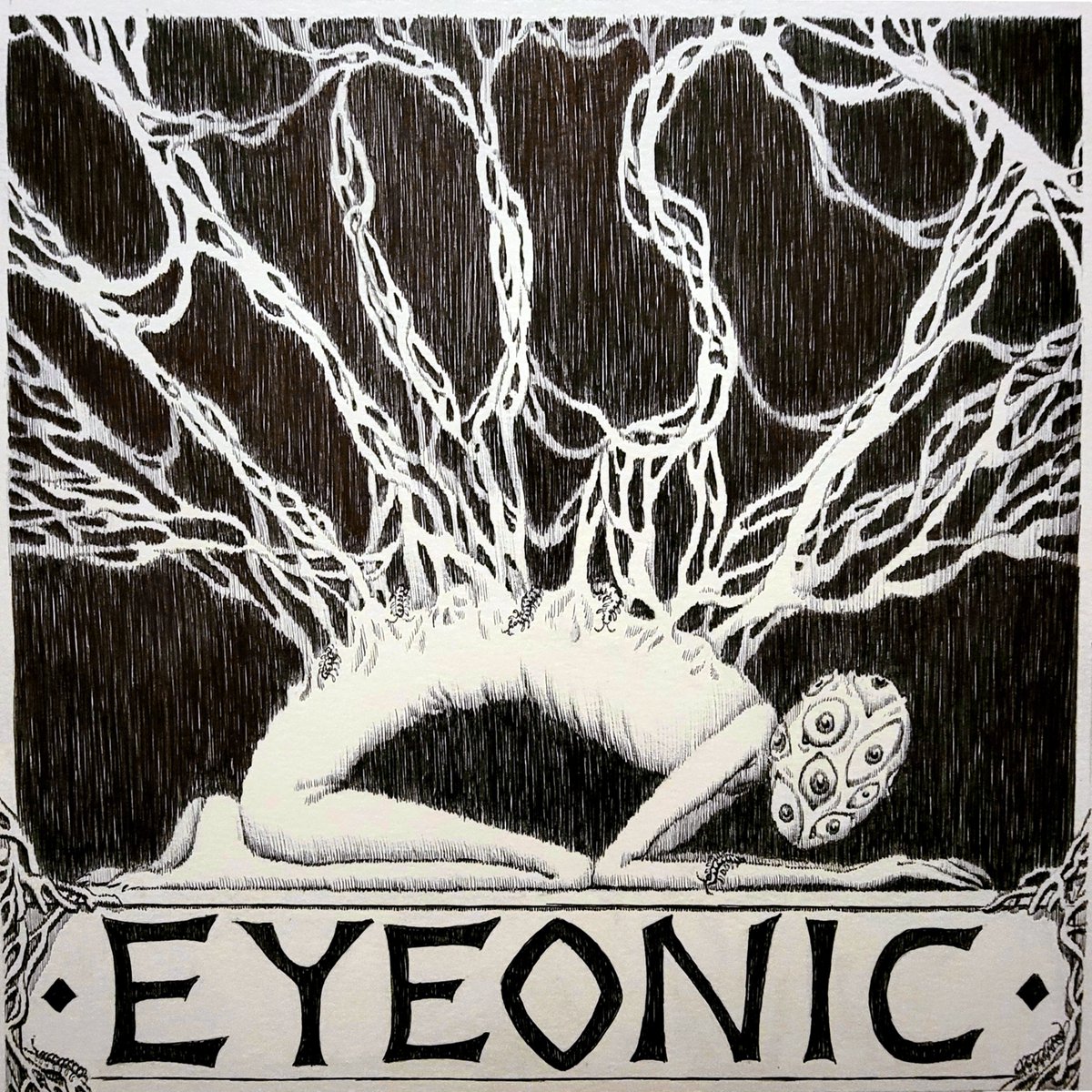 Wonderful 🌍 💯 percent trust. tweet media