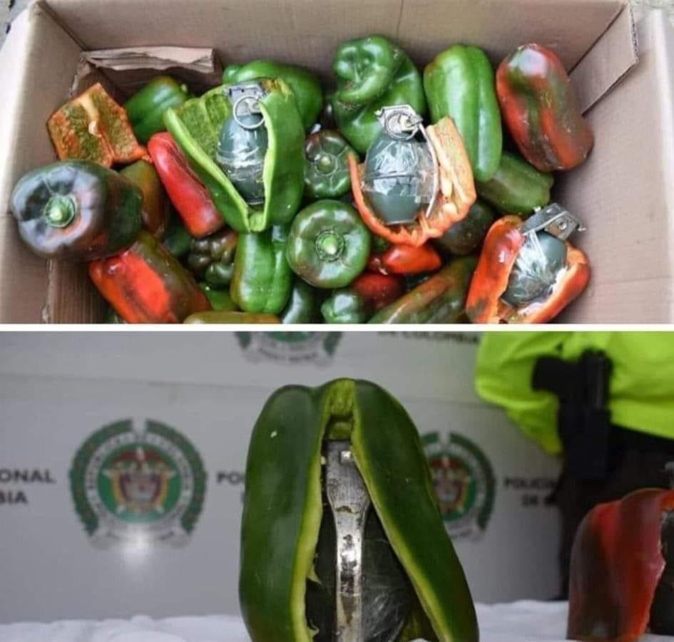 Primeras imágenes de las verduras que importa la oposición desde el Catatumbo