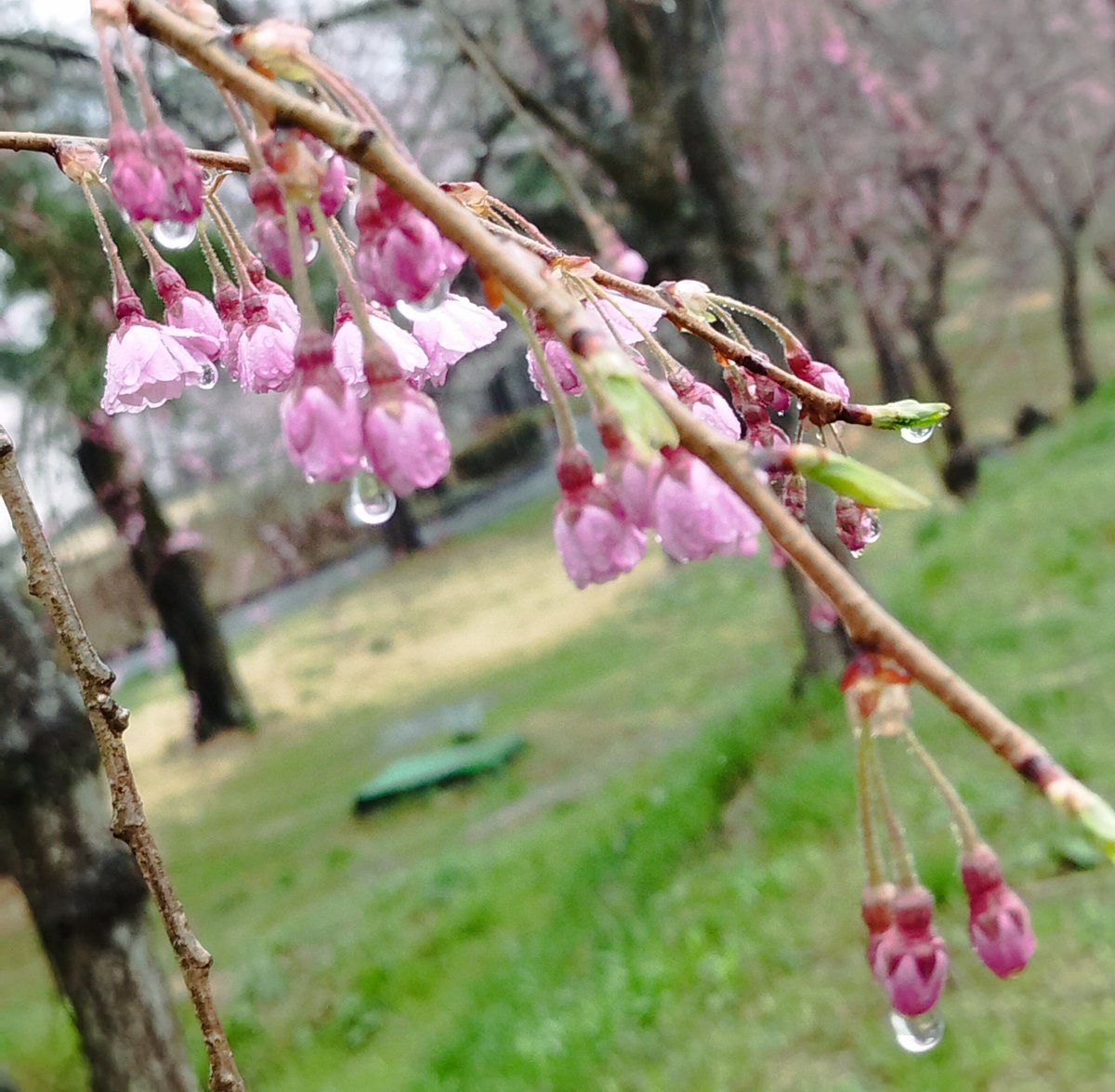 vbheart3150's tweet photo. おはようございま〜す❣️
🌈只今の空模様
　　　✨『雨雲🌫️』✨

💖今日は一日、雨☔模様✨
　　今日の一日を大切に、
　　　　　過ごしましょう〜💞🥰🤗 https://t.co/mN1kR5nfSa