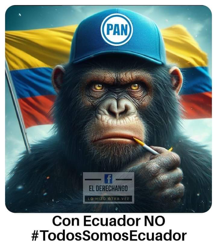 Con #Ecuador no #AziNoAnlo