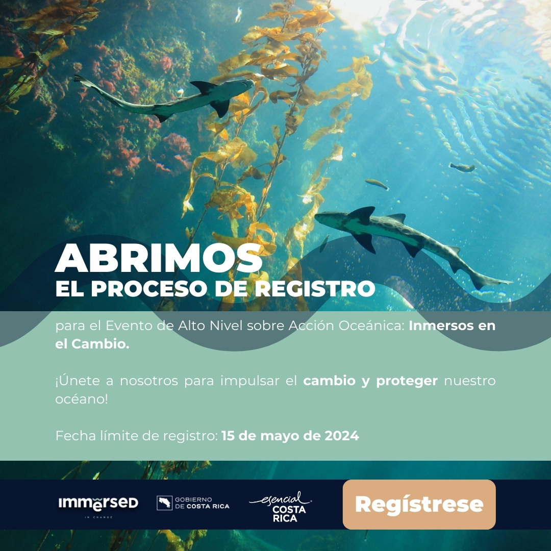 Abrimos el proceso de registro para el Evento de Alto Nivel sobre Acción Oceánica: Inmersos en el Cambio. 

Fecha límite de registro: 15 de mayo de 2024 

Para registrarse visite la página oficial del Evento de Alto Nivel: immersedinchange.gob.go.cr/registro/ #AcciónOceánica #OceanAction