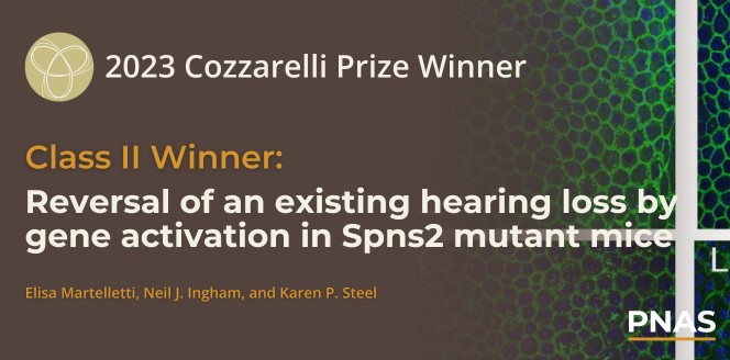 Congratulations to the recipients of the 2023 Cozzarelli Prize for their paper titled “Reversal of an existing hearing loss by gene activation in Spns2,” for its contribution to the physical and mathematical sciences. Explore their award-winning research: ow.ly/g1lv50RaNCv