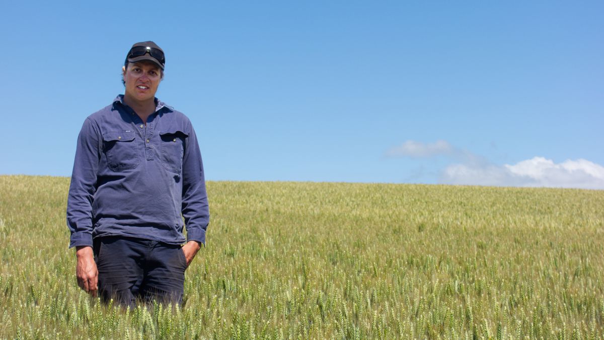 GROWER STORY | Tasmanian grower Hamish Yaxley achieved the highest-yielding crop of wheat – not only in Tasmania, but also across 70 participating paddocks nationally! Congrats Hamish! 👉 bit.ly/3PRnneO