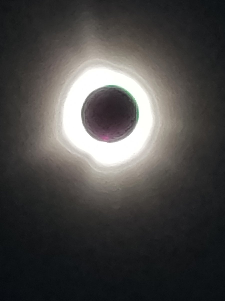 Stunning eclipse. So glad I got to see a total eclipse this time!