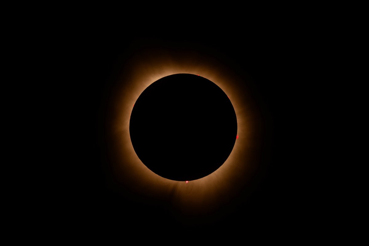 Ohio Northern Univ. tweet media
