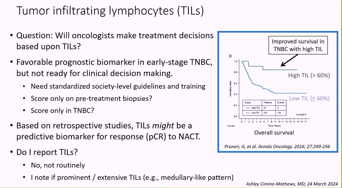 #EverydayBreast
Tumor infiltrating lymphocytes (TILs)
-Favorable prognostic biomarker in early-stage TNBC but not ready for clinical decision making
Dr. Cimino-Mathews #USCAP2024 #PathX #BreastPath #PathTwitter #pathology