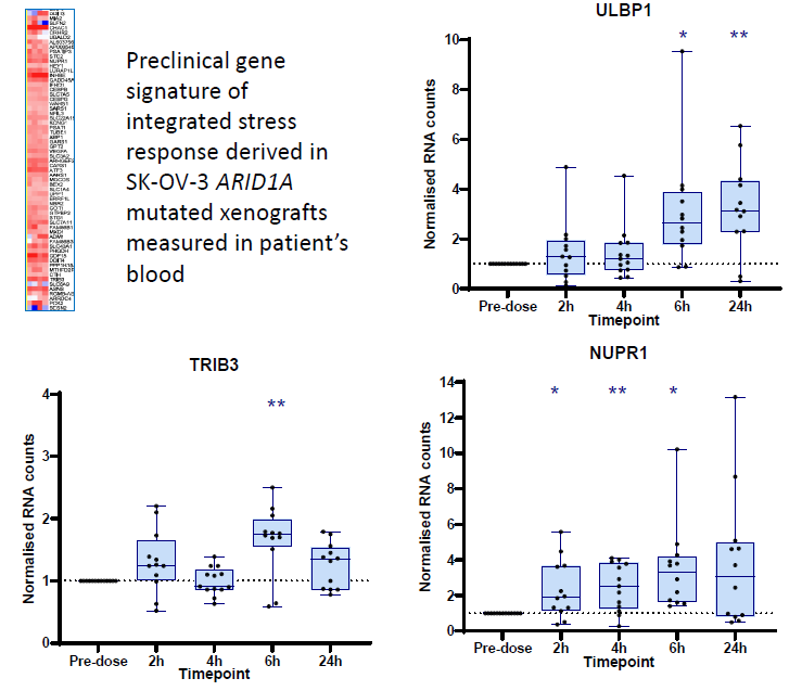 Messing with (cancer cell) stress. PK-PD and toxicity of the dose escalation cohort of NXP800 (NCT05226507) Abst CT111 at #AACR2024. Target engagement confirmed, next steps to evaluate efficacy in ARID1A mutated tumours. @ICR_London @TheRMH @ECMC_UK @RMresearch_