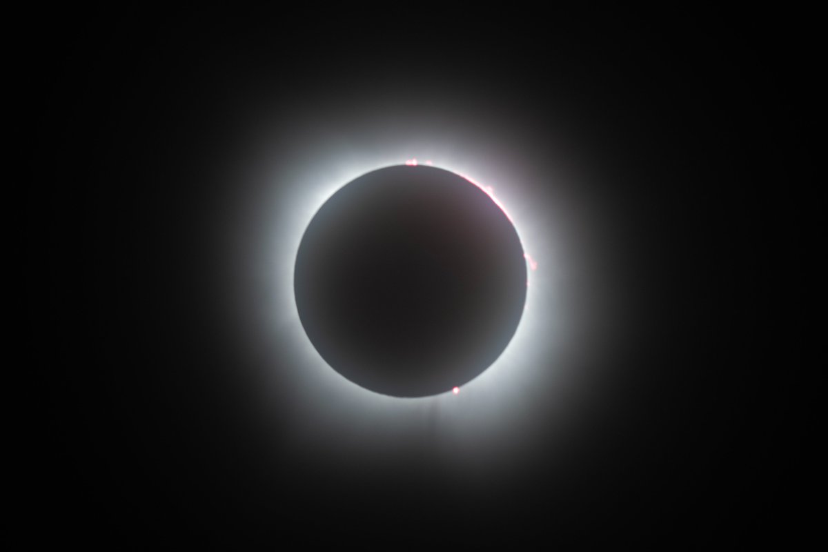 Pat Misur tweet media