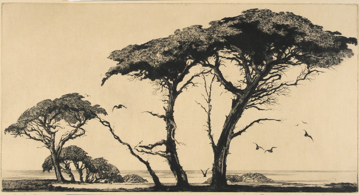 Mildred Bryant Brooks The Pines of Monterey 1935 drypoint on paper
