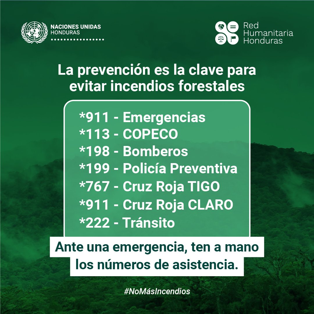 Los incendios forestales no solo devastan nuestros recursos, también afectan nuestra salud. El humo resultante puede provocar problemas respiratorios, agravar condiciones preexistentes y pone en riesgo la salud pública. Reporta todo incidente que veas. #NoMásIncendios