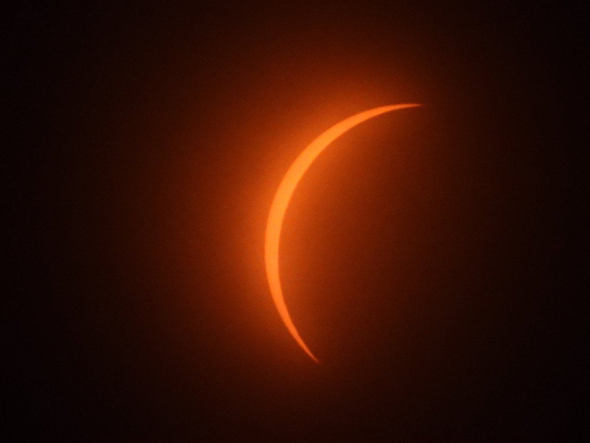 Sarabeth_13's tweet photo. Solar eclipse in Halfmoon, NY; just over 97% coverage. High clouds that moved in made for some hazy photos but a amazing experience nonetheless. The 10+ degree temperature drop and dimming light (&amp; the mob of mosquitoes that came with it) were moments not to forget. https://t.co/Nh5DImXSaH