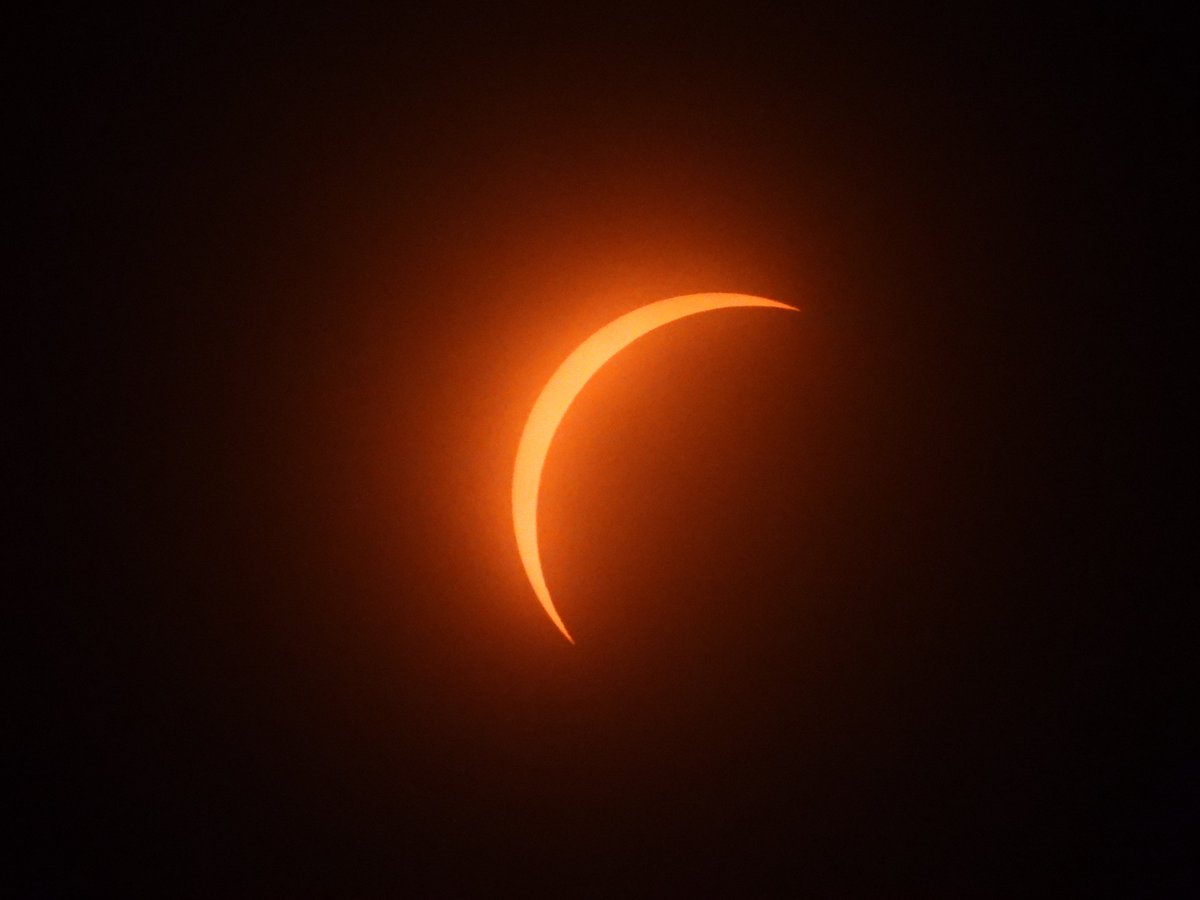 Sarabeth_13's tweet photo. Solar eclipse in Halfmoon, NY; just over 97% coverage. High clouds that moved in made for some hazy photos but a amazing experience nonetheless. The 10+ degree temperature drop and dimming light (&amp; the mob of mosquitoes that came with it) were moments not to forget. https://t.co/Nh5DImXSaH