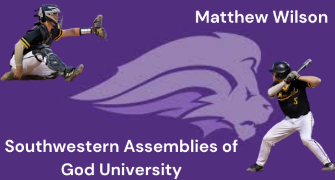 Matthew Wilson tweet media