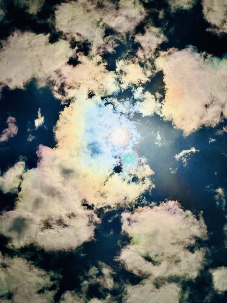 Alexandra Koenig “Coach K”, M. Ed. tweet media