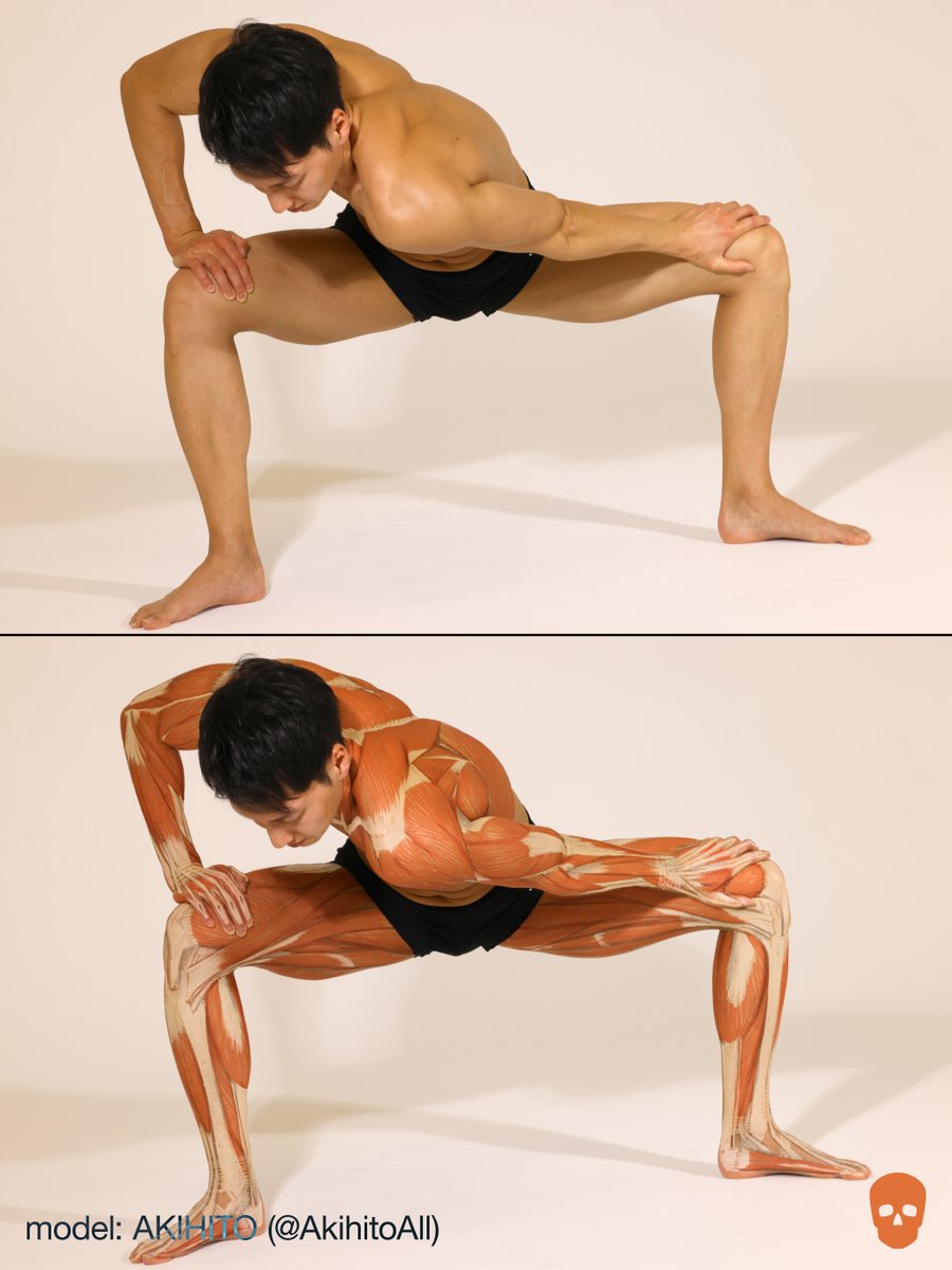 anatomy tutorials tweet media