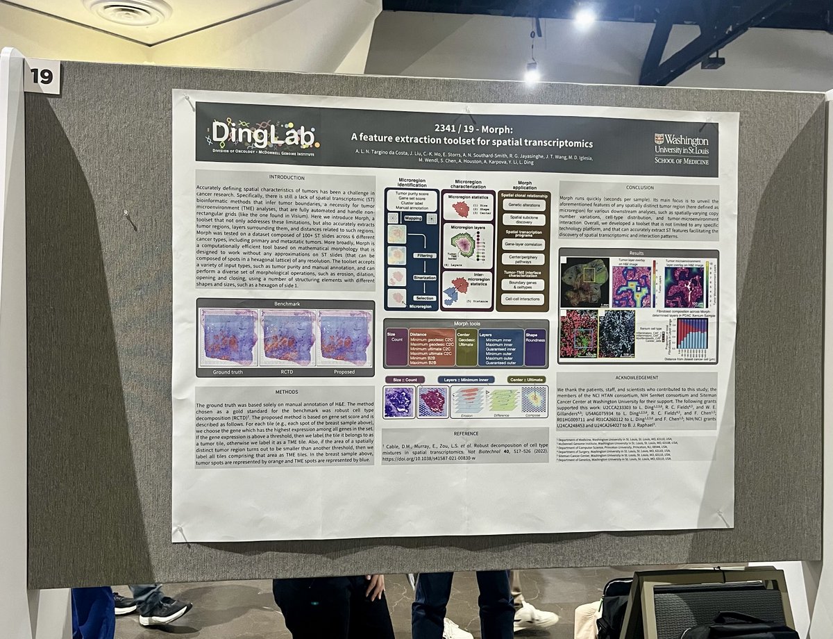 #AACR24: Pictured - Dr. Pourali of the Toriola lab presenting on untargeted lipidomics while the Ding lab tackled spatial transcriptomics. Prepare for tomorrow's poster sessions featuring @WUSTLmed faculty, Drs. @TJToriola, @bvantine1 and @gcolditz: siteman.wustl.edu/aacr/