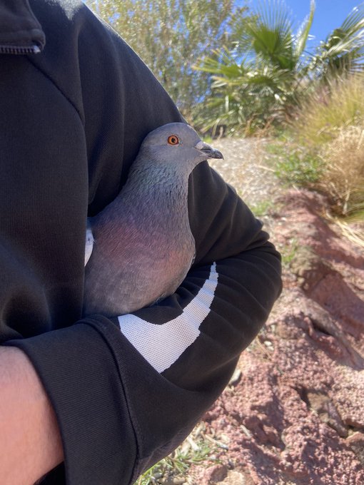 Look who followed me, today! https://t.co/BAiD6s64t9