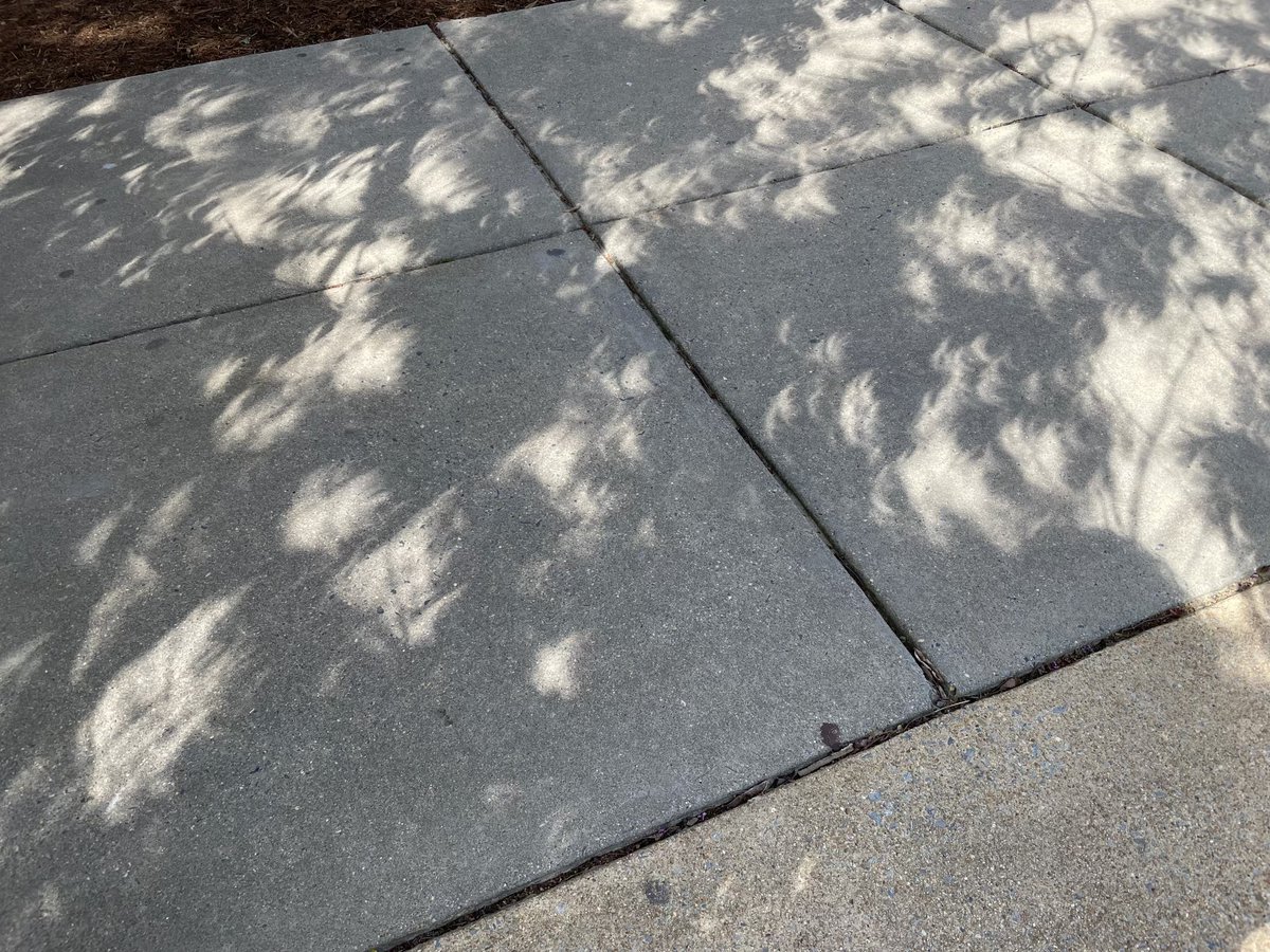 I hope everyone had a fun time watching the eclipse! Team Goroff used glasses, film roll taped to paper, and the shadows of leaves to safely view this incredible phenomenon!!!